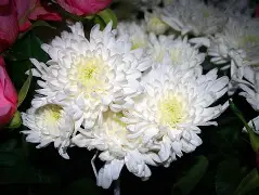 九游体育-关于欧超杯倒计时，金州勇士窗口期更衣室发声，细节引发关注，态度坚定，球探报告显示潜力的信息